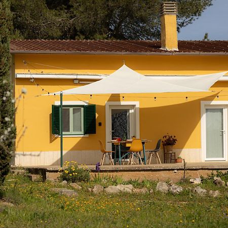Casina Al Castello - Natura E Relax カステル・デル・モンテ エクステリア 写真