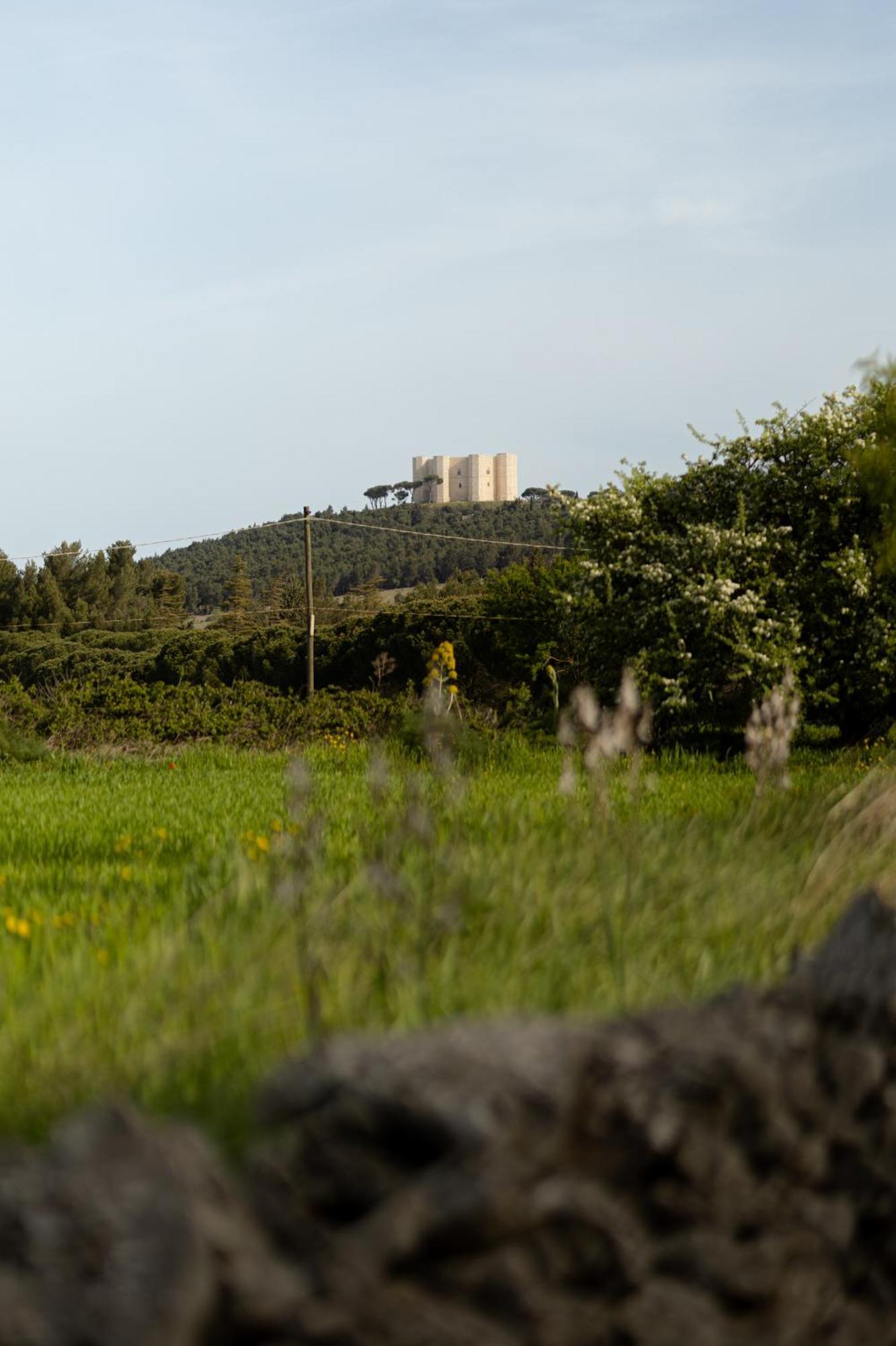 Casina Al Castello - Natura E Relax カステル・デル・モンテ エクステリア 写真